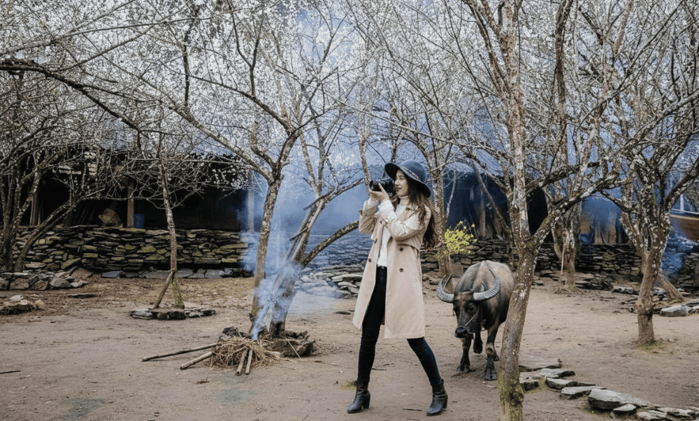 The plum blossom season will be the ideal time for girls who love dreams and are passionate about photography